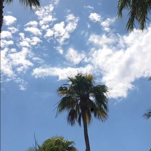 Meet your Posher, Lynn